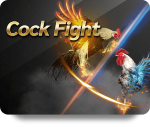 How to Get Started with FB88 Game Bài Hot Today